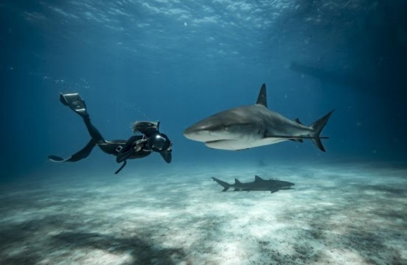 An Odyssey to accelerate ecological transition photo copyright Energy Observer Productions / Francine Kreiss taken at 