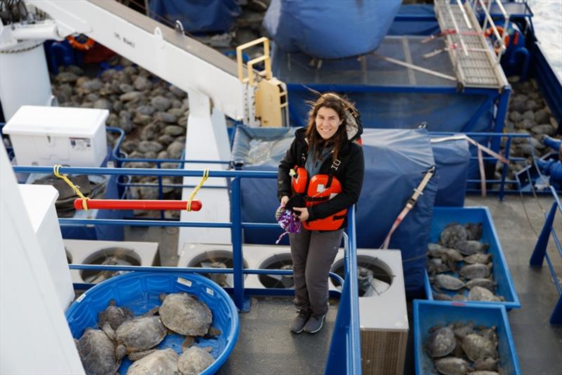 Ship Southern Responder is oil spill response vessel, but thanks to generosity of Marine Spill Response Corporation, vessel and crew aided with release of thousands of sea turtles. Activities authorized by NOAA Fisheries and US Fish & Wildlife Service. - photo © NOAA Fisheries / U.S. Fish and Wildlife Service