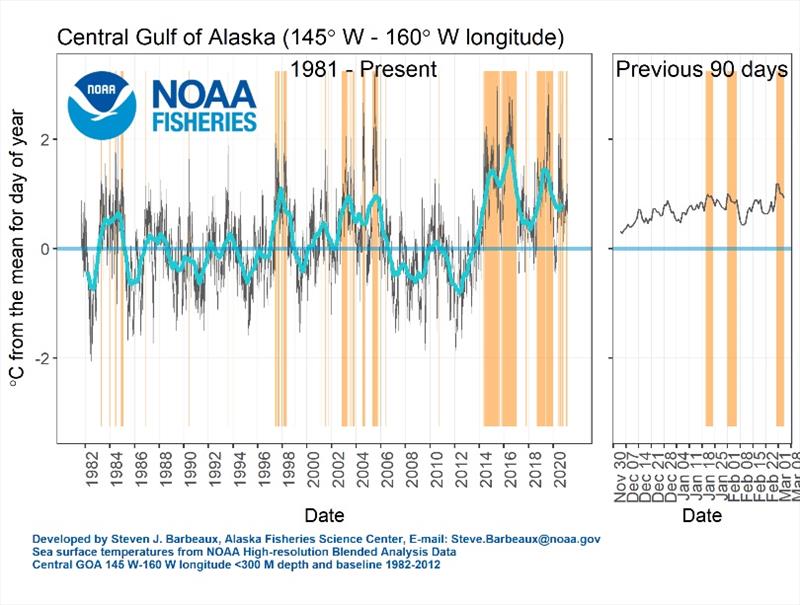 Sea surface temperature anomaly and marine heatwave conditions in the central Gulf of Alaska as of March 5, 2021. - photo © NOAA Fisheries