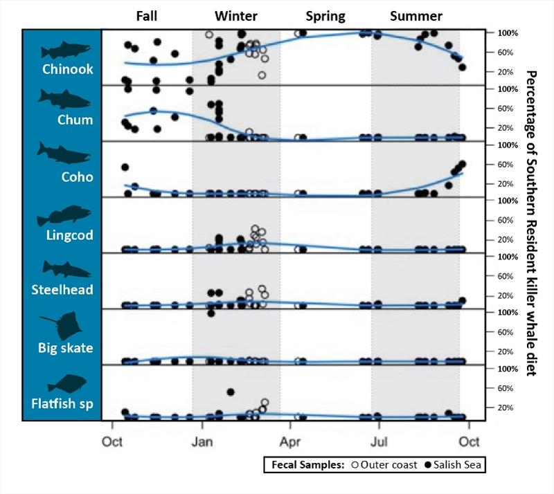 SRKW and Prey seasonality, final photo copyright NOAA Fisheries taken at 