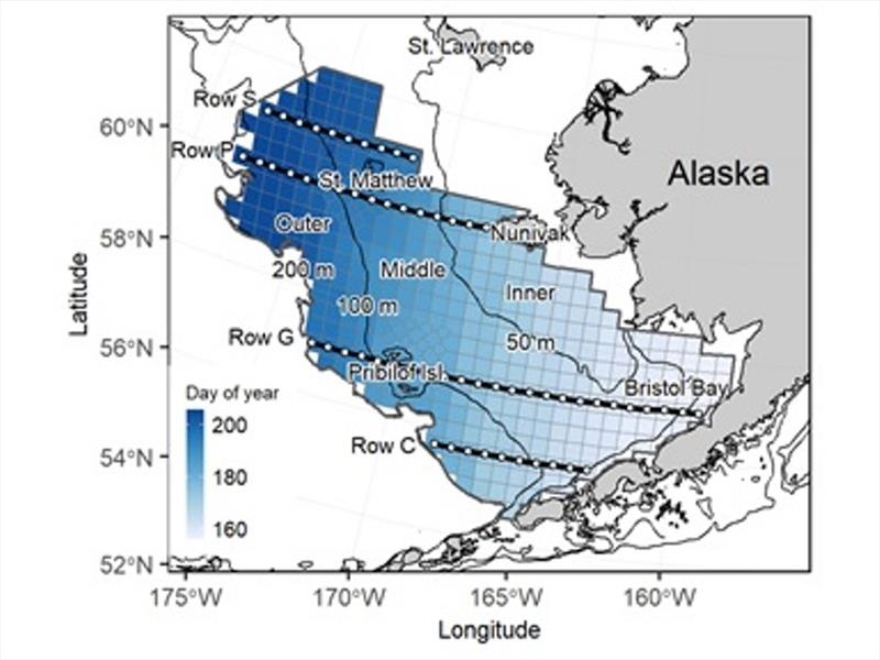 Eastern Bering Sea bottom trawl survey area and average sampling day of year during 2004–2018 for each of 376 survey grid stations. Thick black lines and white points denote the location of shelf-wide cross-sections photo copyright NOAA Fisheries taken at 