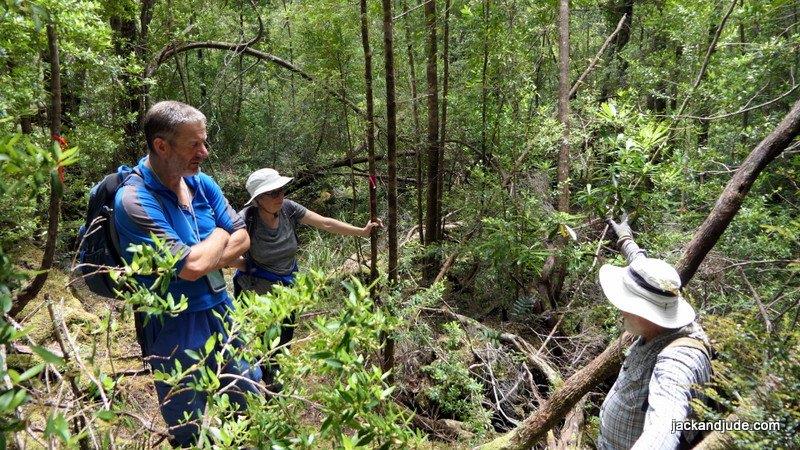 John and Geraldine on Goulds Track photo copyright jackandjude.com taken at 