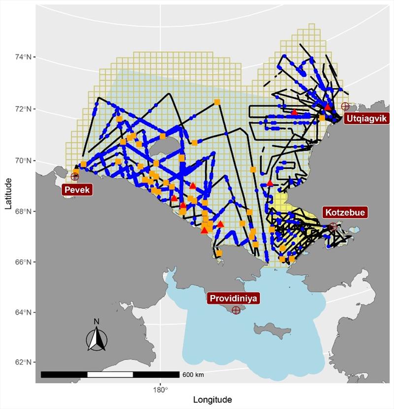 Aerial survey tracks over in Russian and U.S. Chukchi Sea waters. Squares and triangles represent polar bear detections, while blue dots indicate locations of polar bear tracks. - photo © NOAA Fisheries