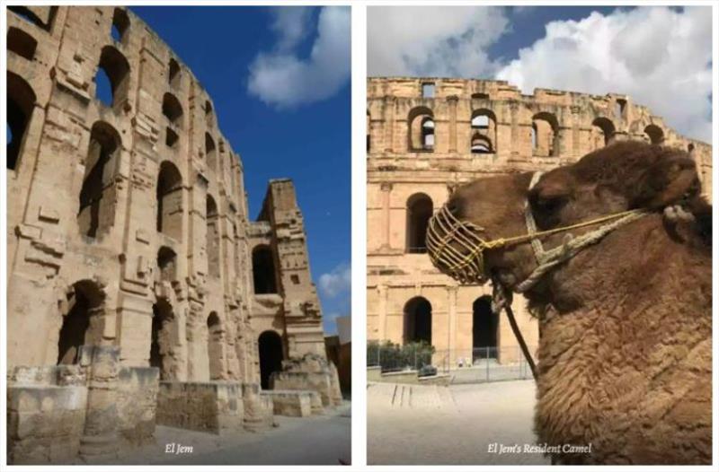 El Jem and El Jem's Resident Camel photo copyright SV Red Roo taken at 