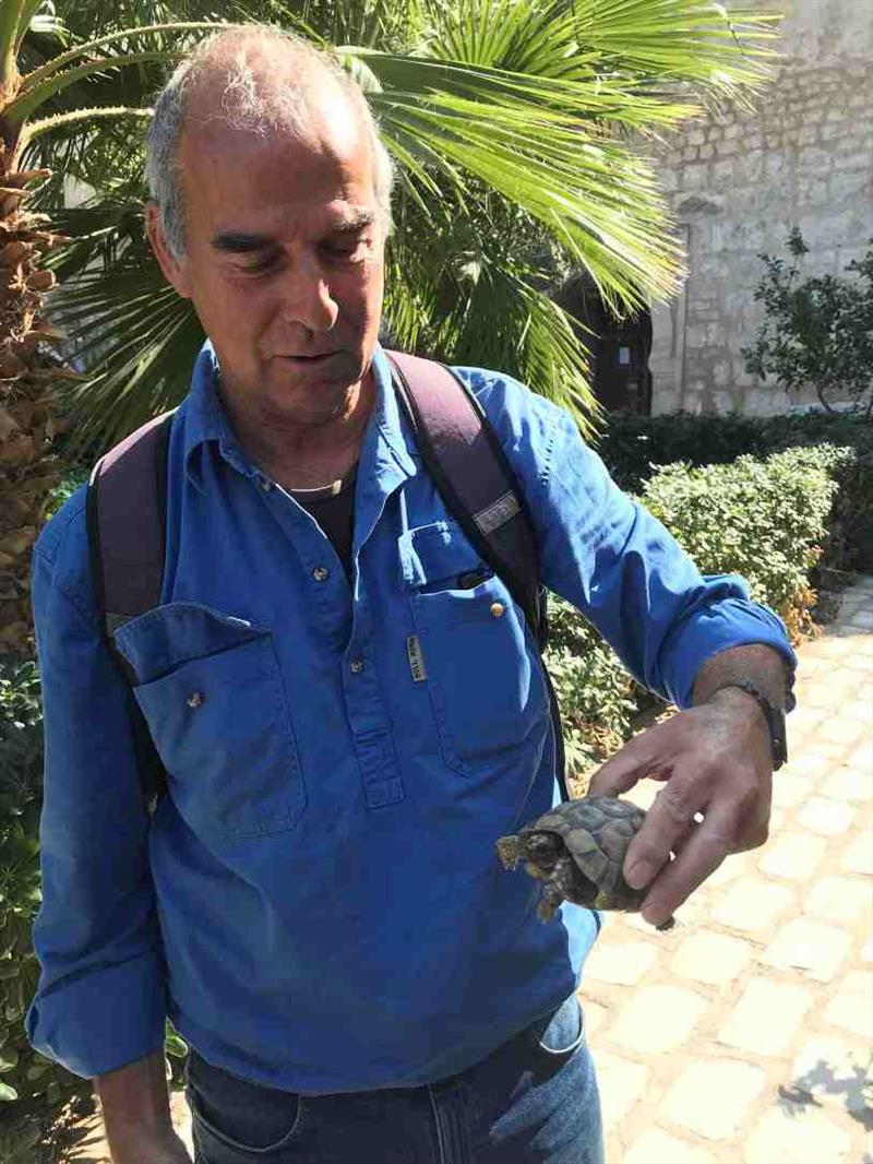 Phil found a tortoise in the Museum Garden - photo © SV Red Roo