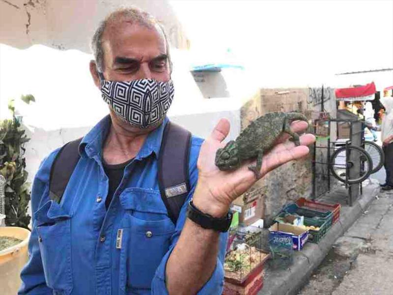 Cameleon for sale in the Medina - photo © SV Red Roo