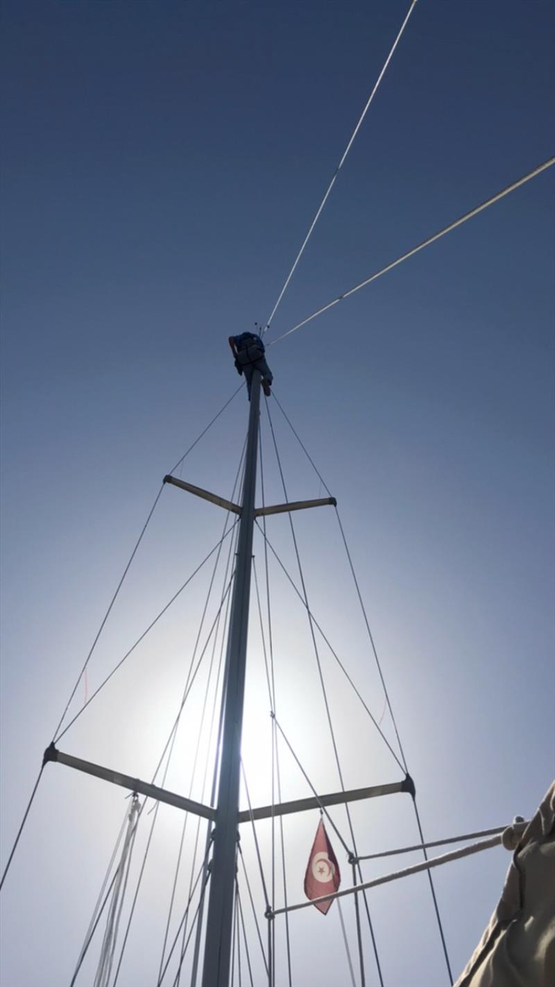 Phil up the mast doing inspections and maintenance - photo © SV Red Roo