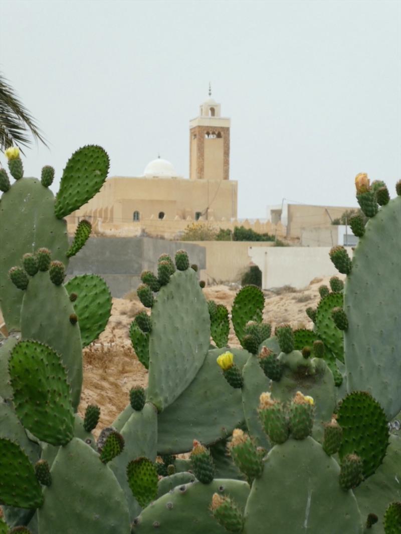 The Matmata Mosque, with ‘Prickly Pear' cactus in the foreground (Prickly Pear is a noxious weed in Australia) - photo © SV Red Roo