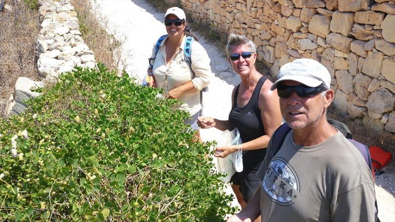 Picking Capers - photo © SV Red Roo