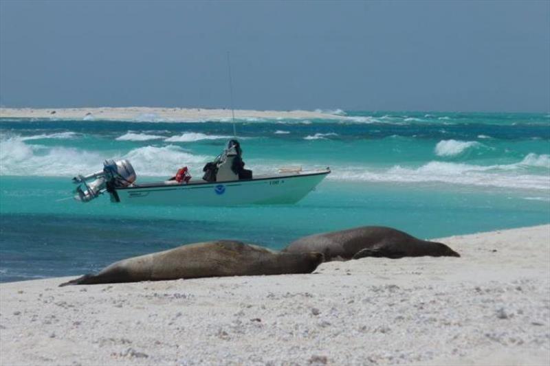 A small boat sits anchored off of a small islet at Lalo while biologists survey the islet's Hawaiian monk seals. - photo © NOAA Fisheries