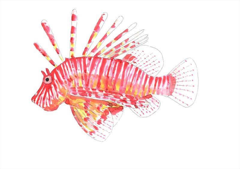 Lionfish - photo © Quarto