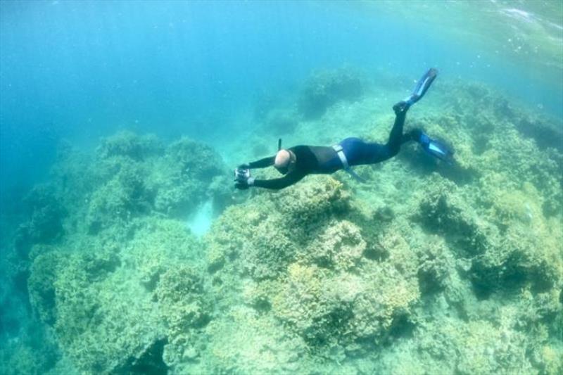 Ariel Halperin conducts Structure-from-Motion photogrammetry surveys of a reef to study what type of successional change occurs over time after net removal at Manawai (Pearl and Hermes Atoll). - photo © NOAA Fisheries / Richard Chen