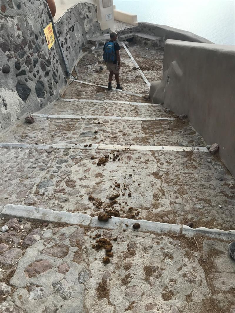 Steps at Oia, Phil going down, dodging the donkey droppings - photo © SV Red Roo