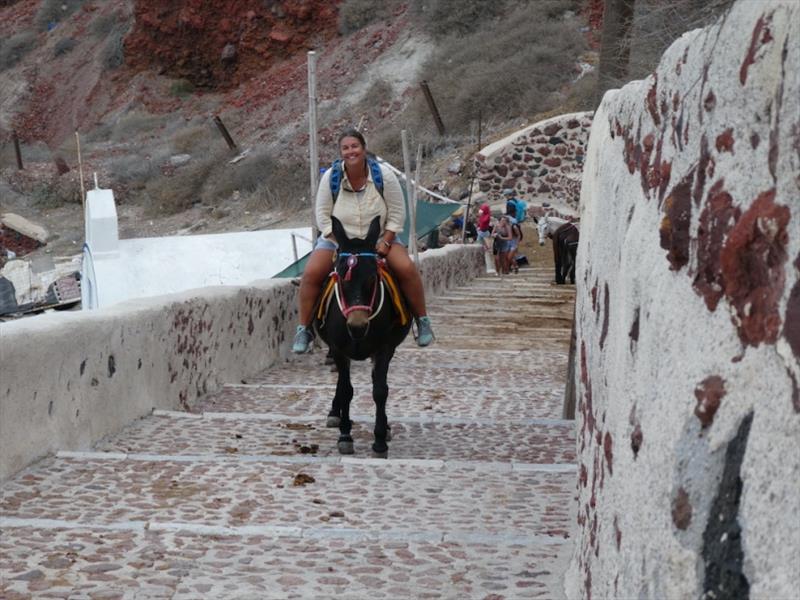 Day two, (about 5,678 steps already climbed) I helped the economy and took a Donkey - photo © SV Red Roo