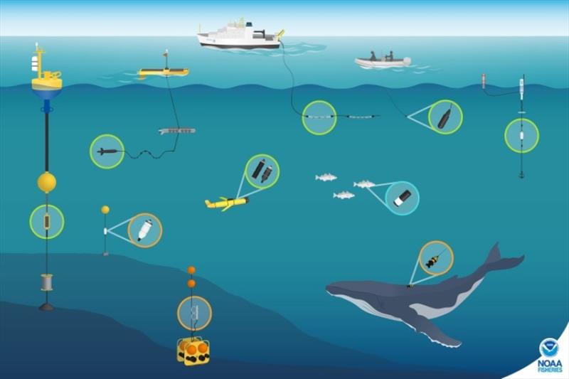 NOAA Fisheries studies marine animals by using a variety of technologies to record underwater sounds, including archival passive acoustic recordings (orange), real-time acoustic data collection (green), and active acoustics (blue). - photo © NOAA Fisheries