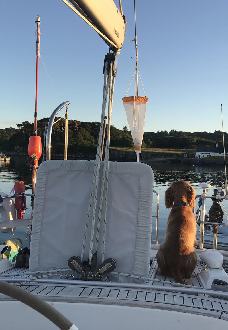 Collection device ready to deploy aboard Copepod photo copyright Dr Dryden taken at 