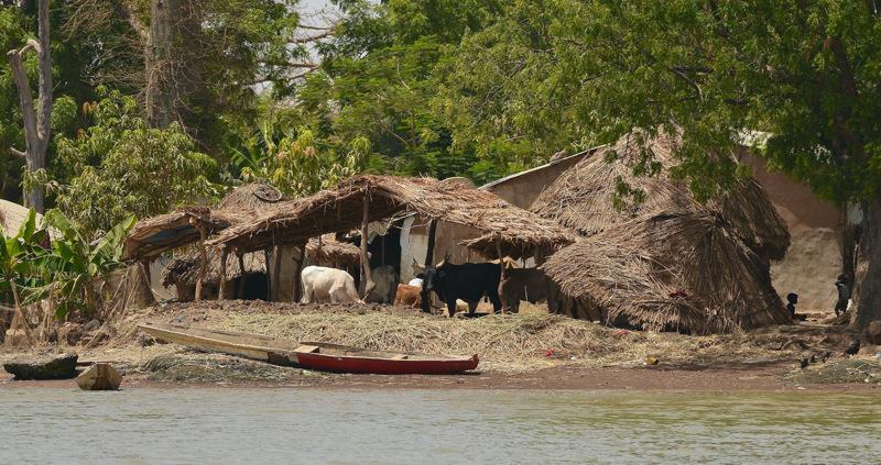 River settlement - photo © Lars Hellman