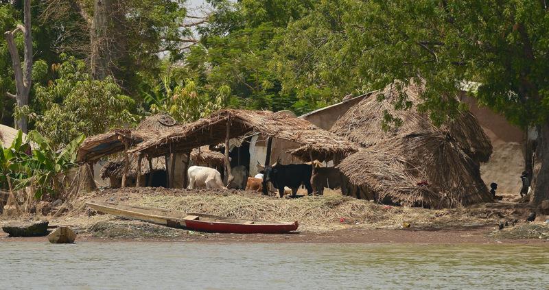 River settlement - photo © Lars Hellman