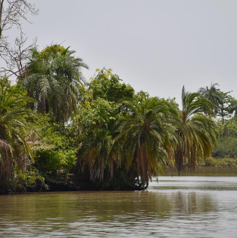 River vegetation photo copyright Lars Hellman taken at 