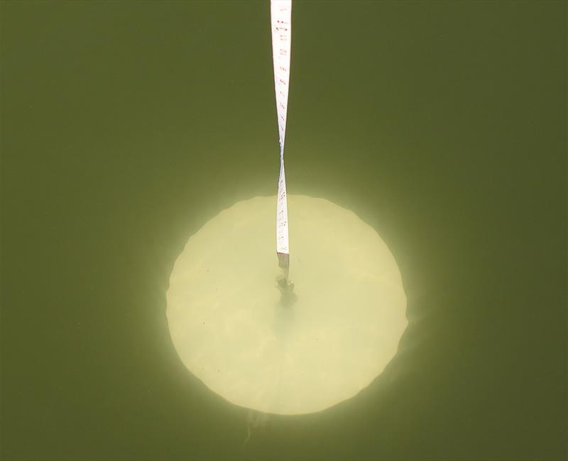 A Secchi Disk underwater on the way to measure the Secchi depth - photo © Secchi Disk Study