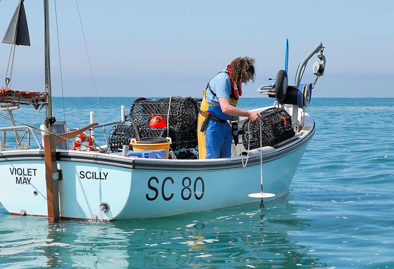 A Secchi disk being lowered into the water to measure a phytoplankton bloom photo copyright Secchi Disk Study taken at 