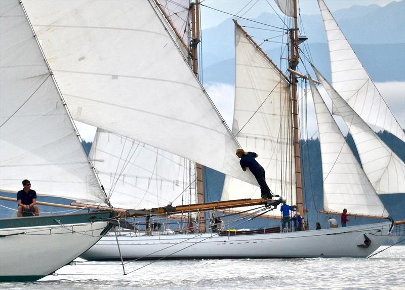 Jan J Hein - Best seat in the house - photo © Northwest Maritime Center 