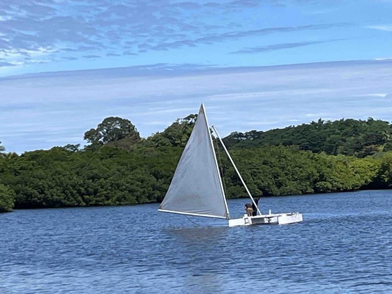 1st mini cargo proa sailing - photo © harryproa.com