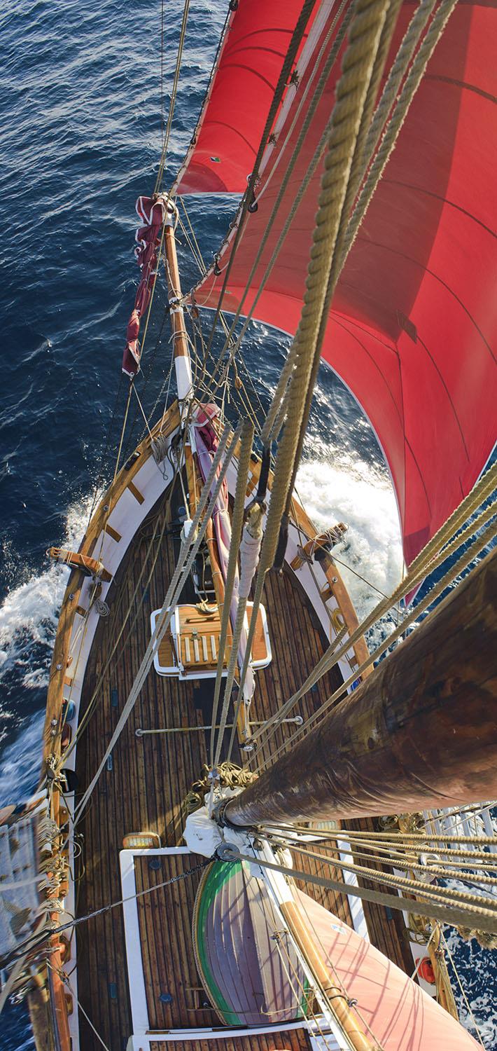 Room with a view on S/V Vega photo copyright Shane Granger taken at 