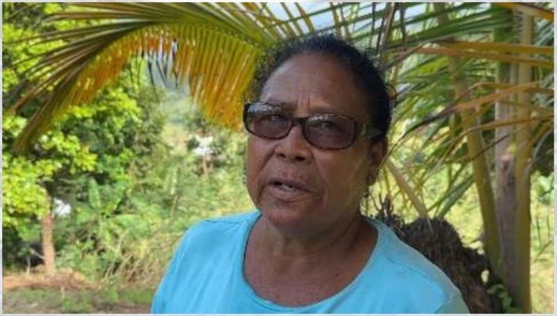 Regi, a local leader in agriculture and climate adaptation in Dominica - photo © Novara