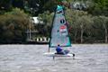 Ronstan Junior Foiling Cup™ on the Sunshine Coast © David French