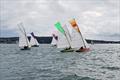 Howth 17 class - Autumn League at Howth © Susanne Cruise