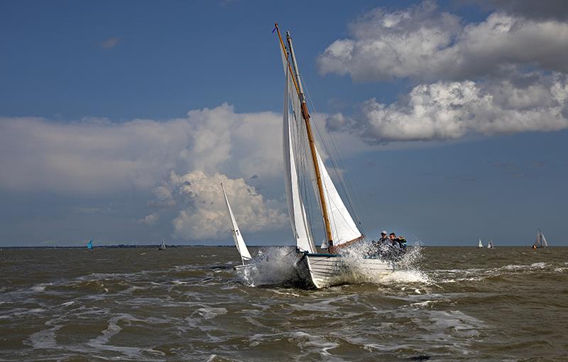 Tom Bowman's CK59 'Mystery' - Mersea Week 2021 - photo © Chrissie Westgate