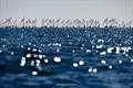 OK Dinghy Worlds at Lake Garda Day 5 &copy; Robert Deaves / www.robertdeaves.uk