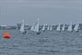 OK P&B Southern Championship at Poole © Jackie Hale
