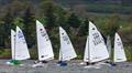 Daffodil Regatta 2025 &copy; Tim Olin / www.olinphoto.co.uk
