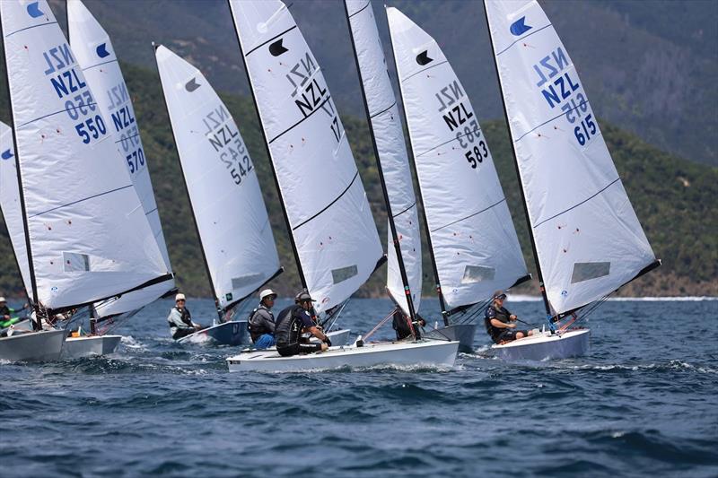 New Zealand OK Nationals at Queen Charlotte photo copyright Lamirana Photography taken at Queen Charlotte Yacht Club and featuring the OK class