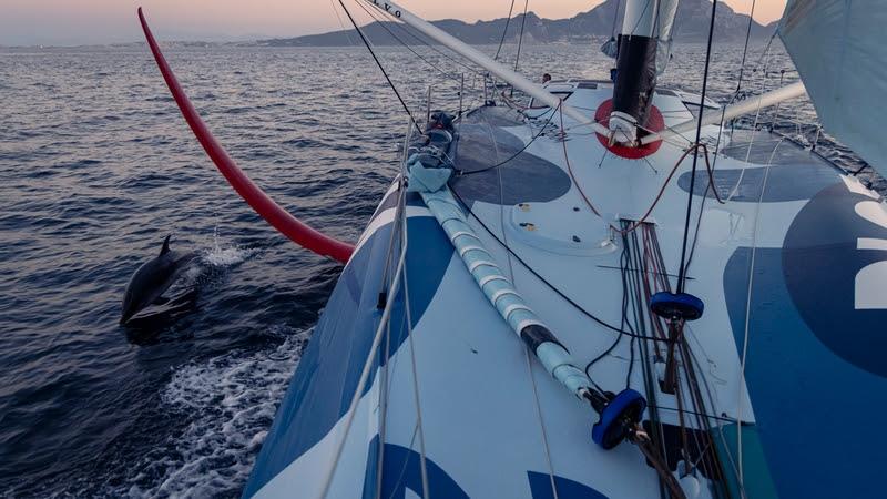 The Ocean Race 2022-23 - 22 June 2023, Leg 7, DAY 7 onboard Biotherm. Dolphin plays with foil ! Entrance of Gibraltar strait was an intense fishing parties scenery. After fishing, maybe they come to play with us - photo © Anne Beauge / Biotherm / The Ocean Race