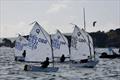 IOCA Optimist End of Season Championships 2025 at Parkstone © Livs Dowling / OCT Films