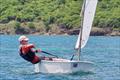 Sint Maarten YC competes in the Caribbean Dinghy Championship © SMYC