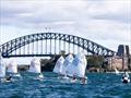 2026 NSW Optimist Interclub Series &copy; James Hill