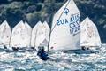 2026 NSW Optimist Interclub Series &copy; Andrew C Lee