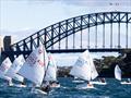 2026 NSW Optimist Interclub Series &copy; James Hill