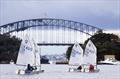 Optimist Winter Interclub Series at Hunters Hill Sailing Club &copy; Mainsheet.iH