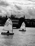 Optimist Winter Interclub Series at Hunters Hill Sailing Club &copy; Mainsheet.iH