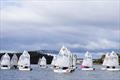 Optimist Winter Interclub Series at Hunters Hill Sailing Club &copy; Mainsheet.iH