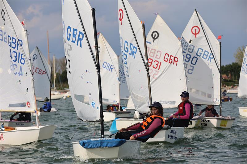 Regatta Fleet during the Blackwater Sailing Club Optimist Open photo copyright Anna Lau taken at Blackwater Sailing Club and featuring the Optimist class