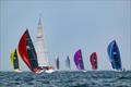 2025 Marblehead to Halifax Ocean Race © Lexi Pline Photography