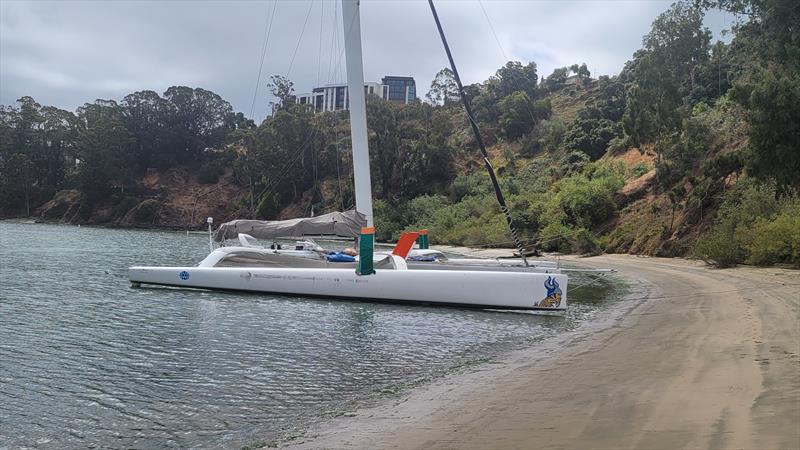 Lawson and his crew carefully brought Defiant onto a beach to properly inspect her hulls after a high-speed collision on San Francisco Bay - photo © Image courtesy of Captain Donald Lawson