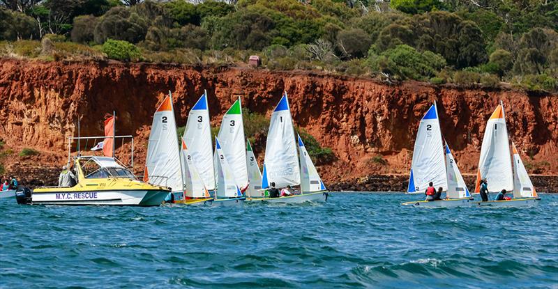 Victorian School Team Sailing State Championships 2023 photo copyright Alan Dillon taken at Mornington Yacht Club and featuring the Pacer class