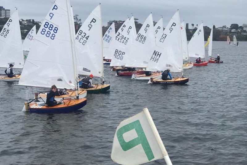 The P Class is a fantastic training ground for young sailors learning fleet racing photo copyright Scott Leith taken at  and featuring the P class class